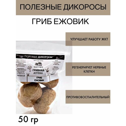 ���� ���� ������, ������ �� 360 ���