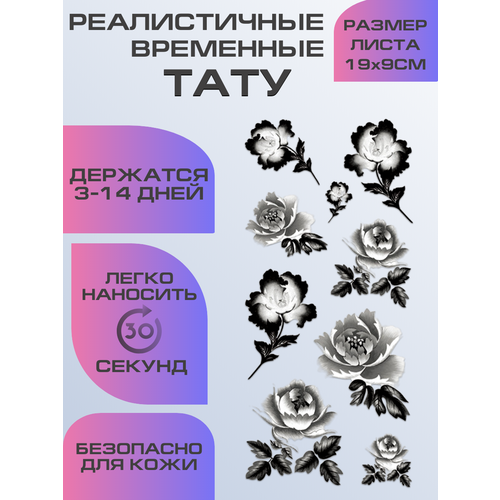 ���� ���� ���������� ��������������, ��������� ����, ������ �� 399 ���