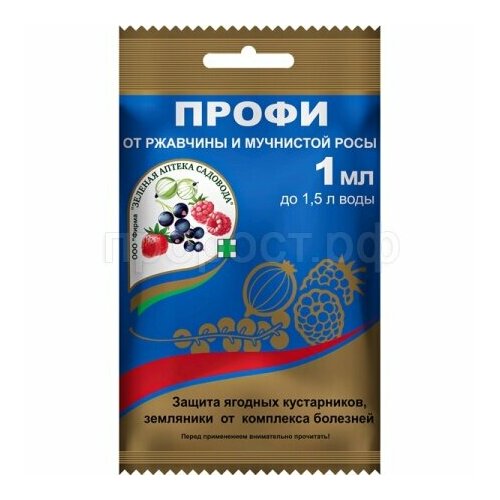 ���� �������� ������ �������� �����, ��������, �� ��������� ��� � ��������, 1 ��, ������ �� 62 ���