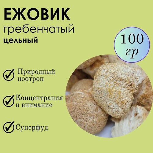 ���� ���� ������ 