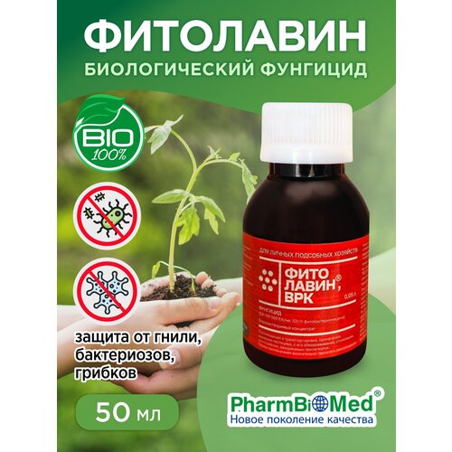 ���� �������� ���������, ���, ������ �� 550 ���