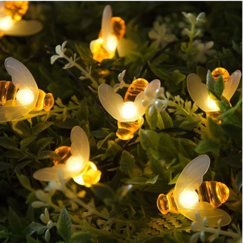 ���� �������� ������ 4 � � ��������� �������, ������ �� 650 ���