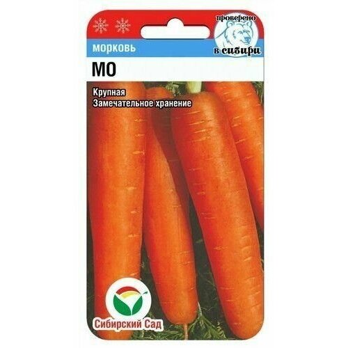 ���� ������ ������� 