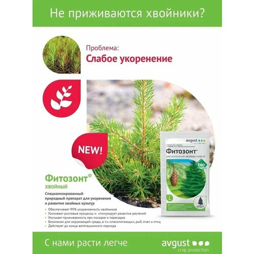 ���� �������� ������� 1�� � 5 ��������/ �������� ��� ���������� ������� ����� (������), ������ �� 469 ���