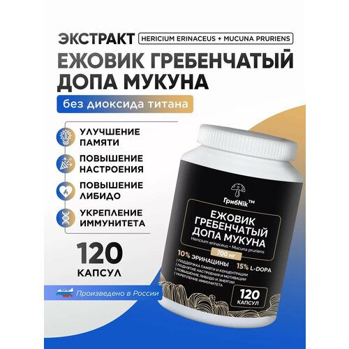 ���� ������ ����������� + ������� ����� 120 ��, ������ �� 1010 ���