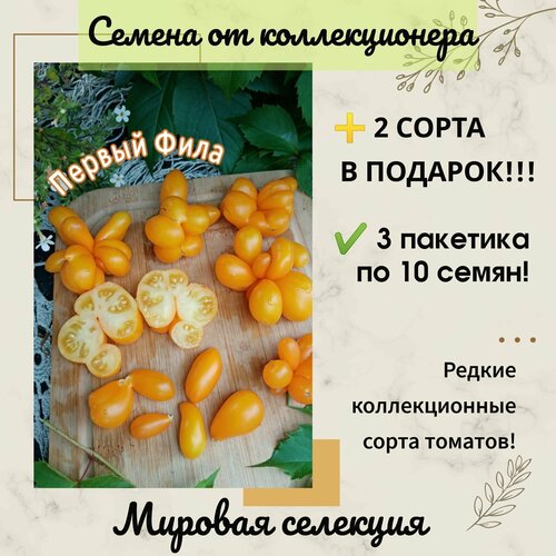 ���� ����� ������ ����, ������� �� ��������� �����, ������� ��������, ������������� ����, ������ �� 295 ���