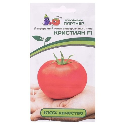 ���� ������ ����� 