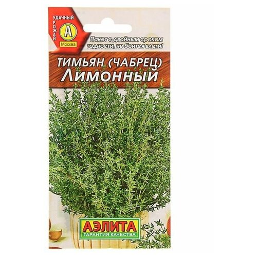 ���� ������ ������ 