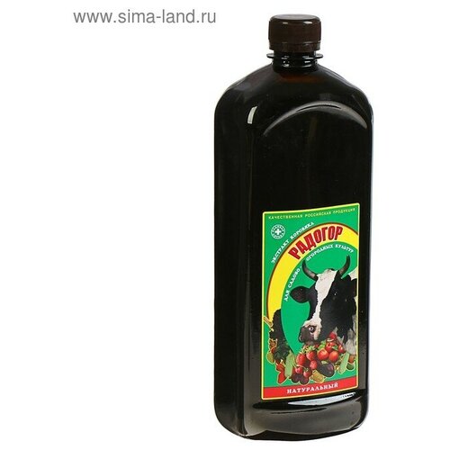 ���� �������� �������� 