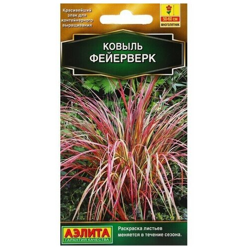 ���� ������ ������ ������ 