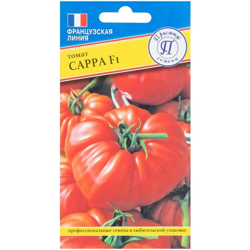 ���� ������ ����� ����� F1, 5 ��, �������, ������ �� 219 ���