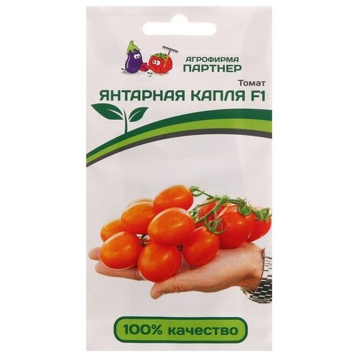 ���� ������ ����� 