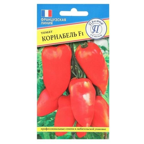 ���� ������ ������ 