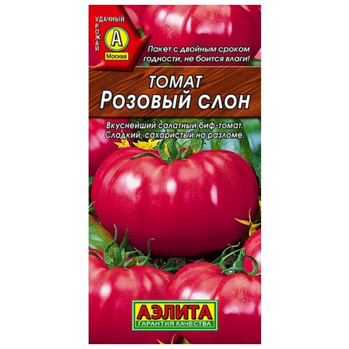 ���� ������. ����� 