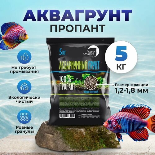 ���� ����� ��� ��������� � ���������� ���� �������/ �������, 5 ��, ������ �� 1129 ���