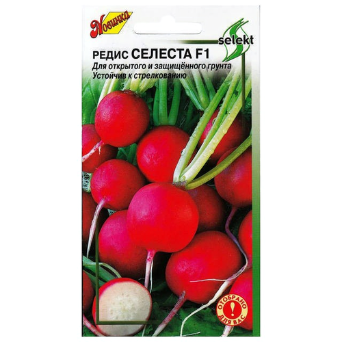 ���� ������ ����� ������� F1 60�� ��� ����, ����, �������, ������� / ������� � �������� ��������, ������ �� 299 ���