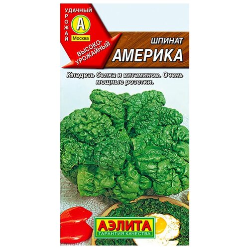 ���� ������. ������ 