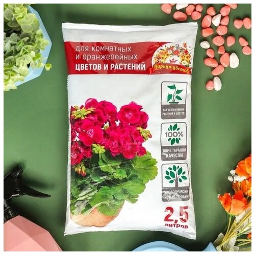 ���� ����� ��� ��������� � ������������ ������ ������ ������ 2.5 �, ������ �� 380 ���