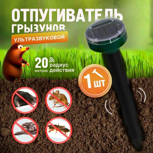 ���� ������������ �� ������ � ���������, ���� � �������� �� ��������� �������, 1 ��, ������ �� 580 ���