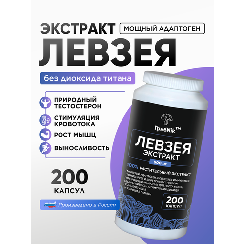 ���� �������� ������ ������� ������ ��������� 200�� 500 ��, ������ �� 2500 ���