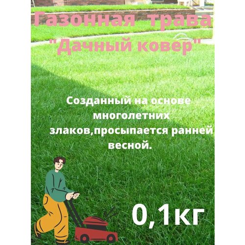 ���� �������� ����� 