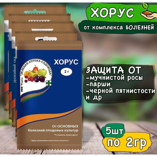 ���� ����� �������� ��� ������ �������� �� ��������, ��������, ��� �������� �������, 5�� �� 2�, ������ �� 350 ���