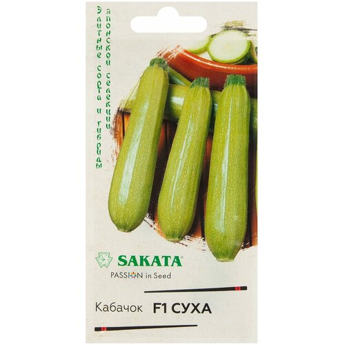 ���� ������. ������� 