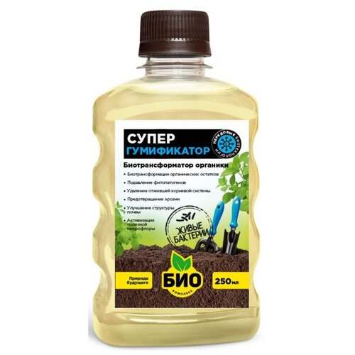 ���� ��������� ����� ����������� 