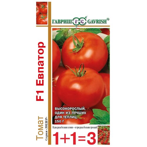 ���� ������� ����� 