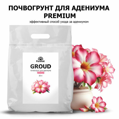 ���� ���������� Premium ������ 10 � ��� �������� � ������ ������� � ������ � �������� ������ ��������, ������ �� 1121 ���