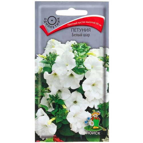 ���� ������ ����� ������� ����� ��� 0.1 �, ������ �� 40 ���