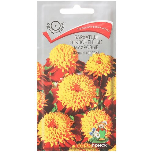 ���� �������� ����������� �������� Ƹ���� �������, ������ �� 511 ���