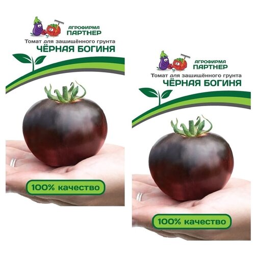 ���� ������ ����� ������ ������ /��������� �������/ 2 �������� �� 10 �����, ������ �� 380 ���