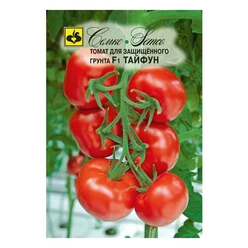 ���� ������ ����� ������ F1 10�� ����� ������ (�����), ������ �� 182 ���