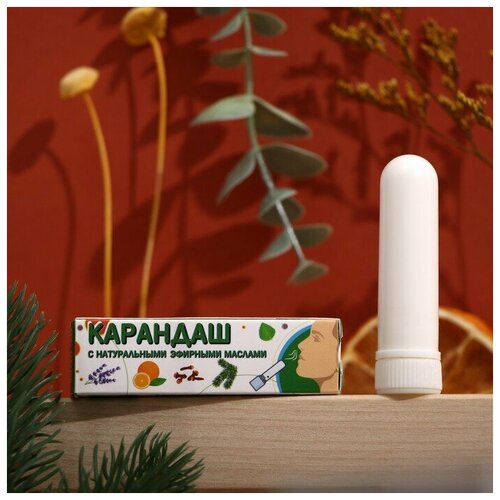 ���� ��������-��������� �� �������� � ����� � ����������, ������ �� 97 ���