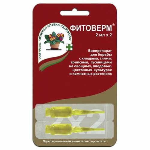 ���� �������� 2�2 (������� ������ ��������), ������ �� 80 ���