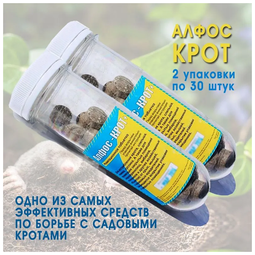 ���� �������� �� ������, ������ �������, ��������, ����, ����� � ���������-���������� �����-����+ 2 �� �� 30 ��������, ������ �� 2400 ���