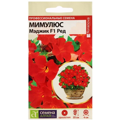 ���� ������ ������ ����� ������� ������ F1 ���,10 ��., ������ �� 83 ���