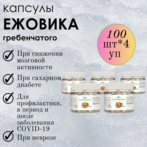 ���� ������ ���� ����������� � �������� ����-��������, ����������� ������� ������� 100 ��*5 ��������, ������ �� 3500 ���