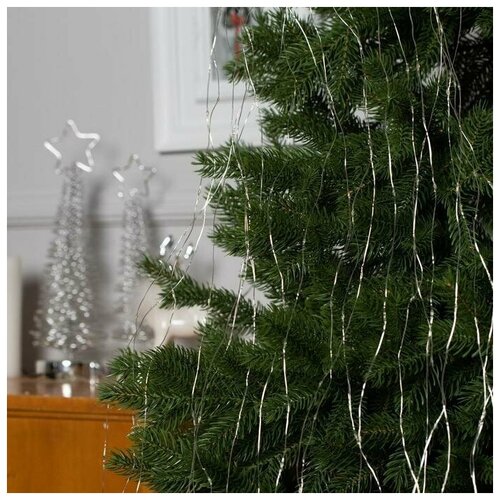 ���� �������� 