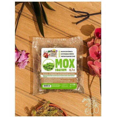 ���� ������� ������� ������ ��� 