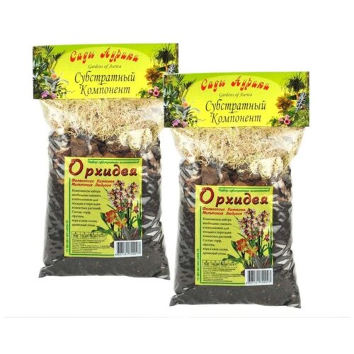 ���� �������� 