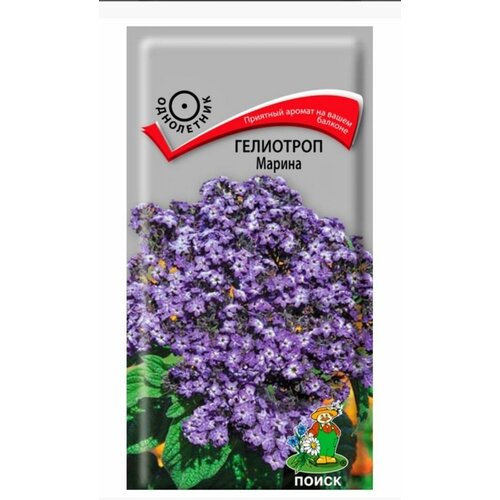 ���� ������ ������ ����� ��������� 