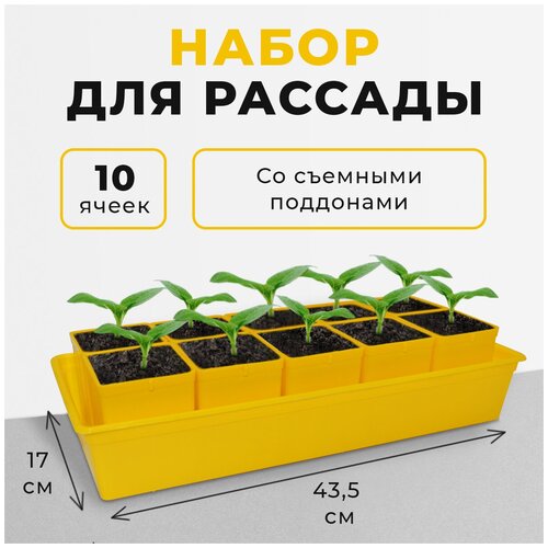 ���� ����� ��� ������� � ��������, 10 ������� �� 0.5 �, ������ �� 619 ���