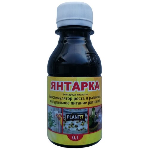 ���� ��������� �������� ������� 