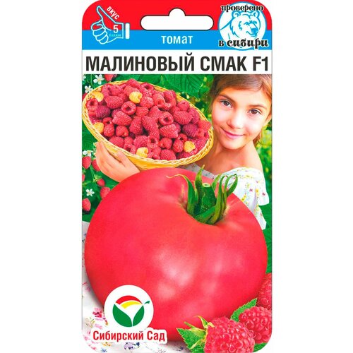 ���� ������ ����� ��������� ���� F1 15�� ����� ������ (��������� ���), ������ �� 65 ���