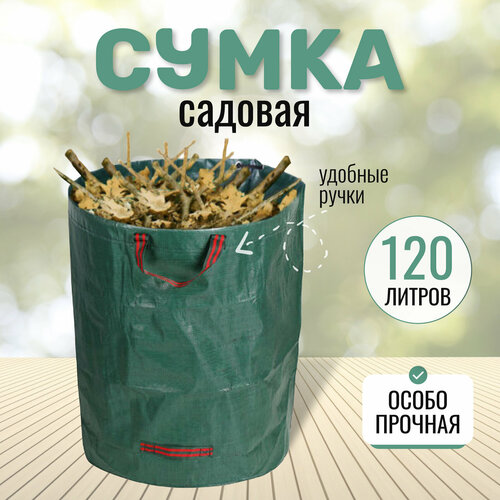 ���� ��������� ������� � �������, 75 ��, �������, ������ �� 720 ���