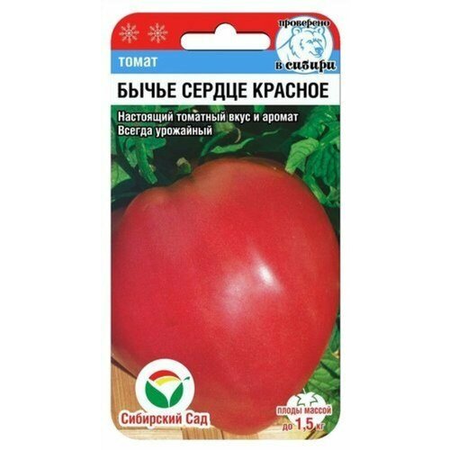 ���� ������ ����� ����� ������ ������� 20�� ����� (��������� ���), ������ �� 56 ���