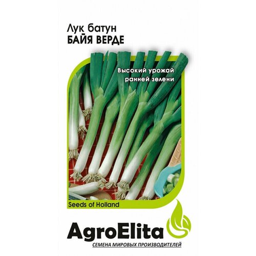 ���� ������. ��� ����� 