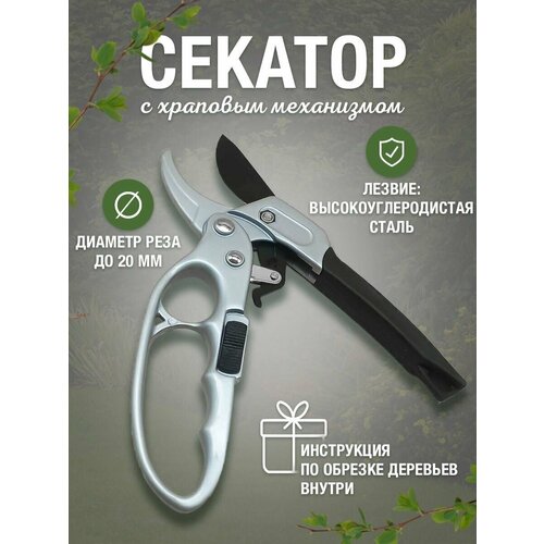 ���� ������� ������� ���������������� / ������� � �������� ����������, ������ �� 950 ���